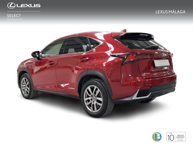 Foto del LEXUS NX 300h Executive Navigation 4WD