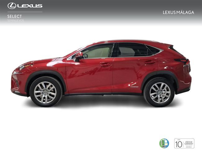 Foto del LEXUS NX 300h Executive Navigation 4WD