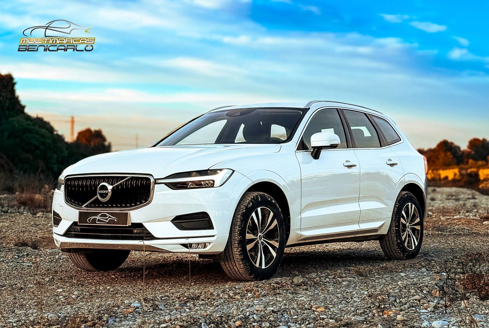 VOLVO XC60 (B4 Momentum Pro FWD Aut.) en Castellón