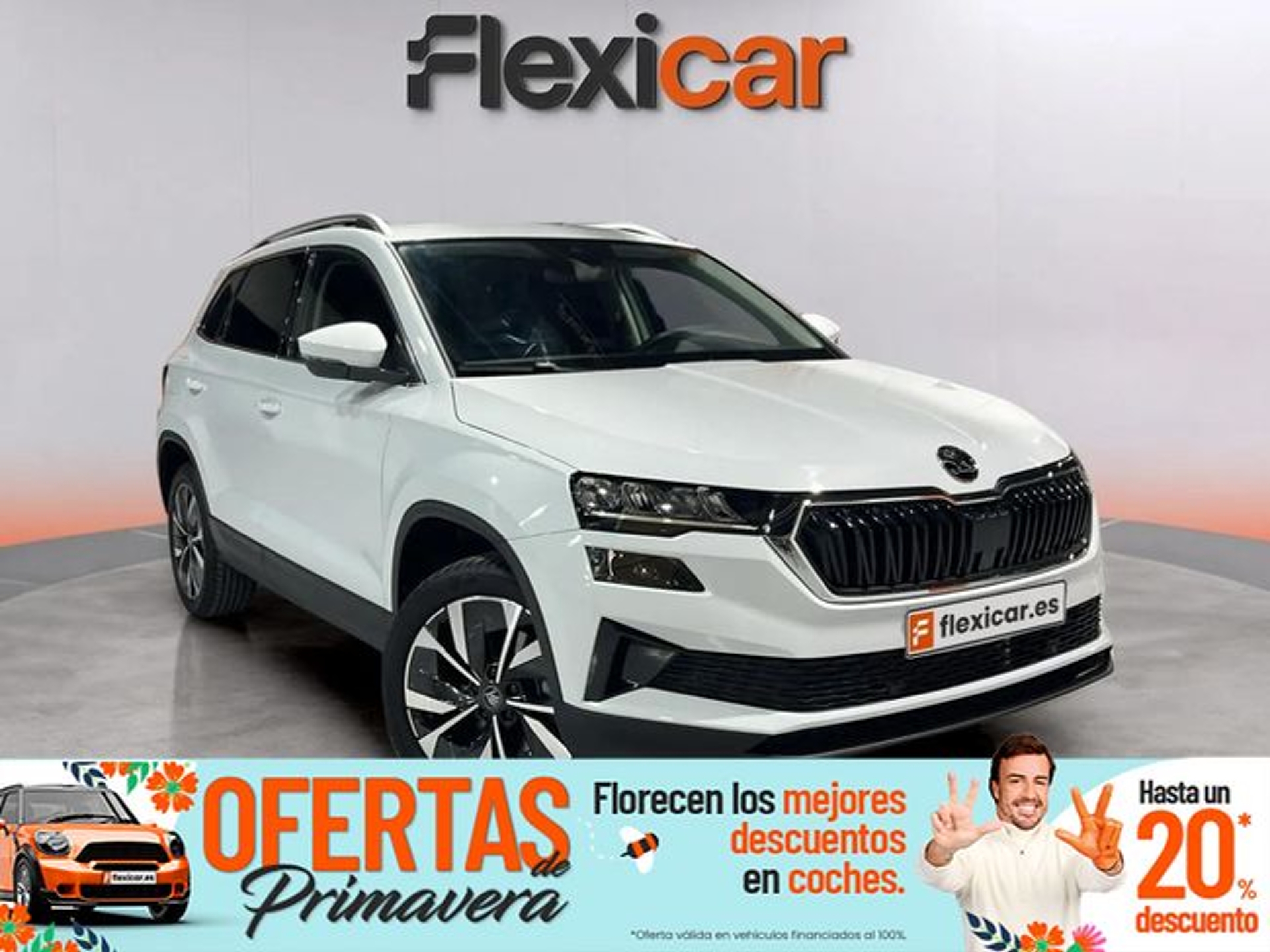 Imagen de SKODA Karoq