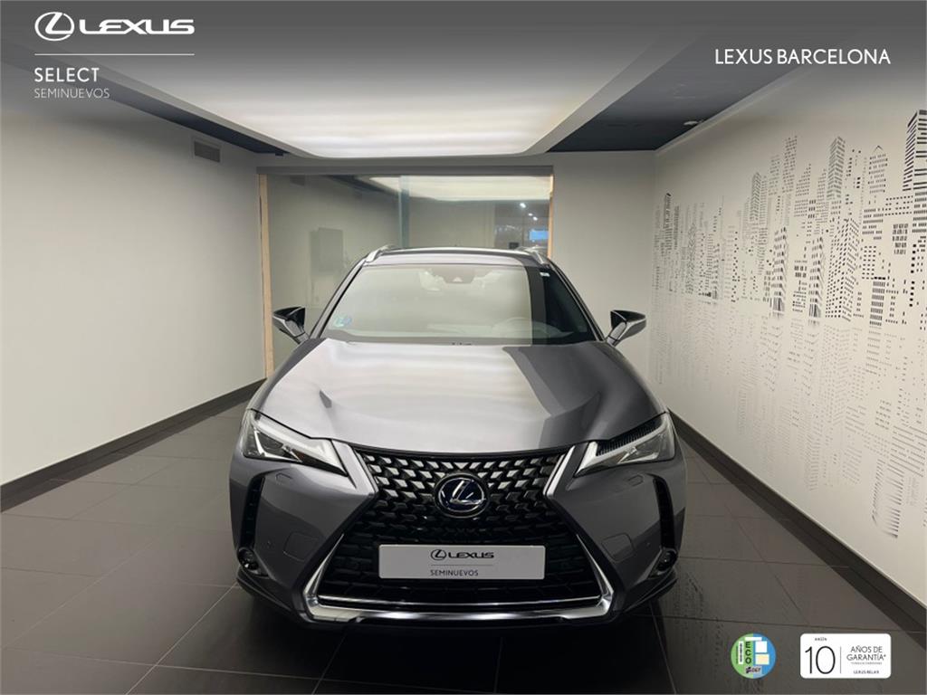 Foto del LEXUS UX 250h Business 4WD