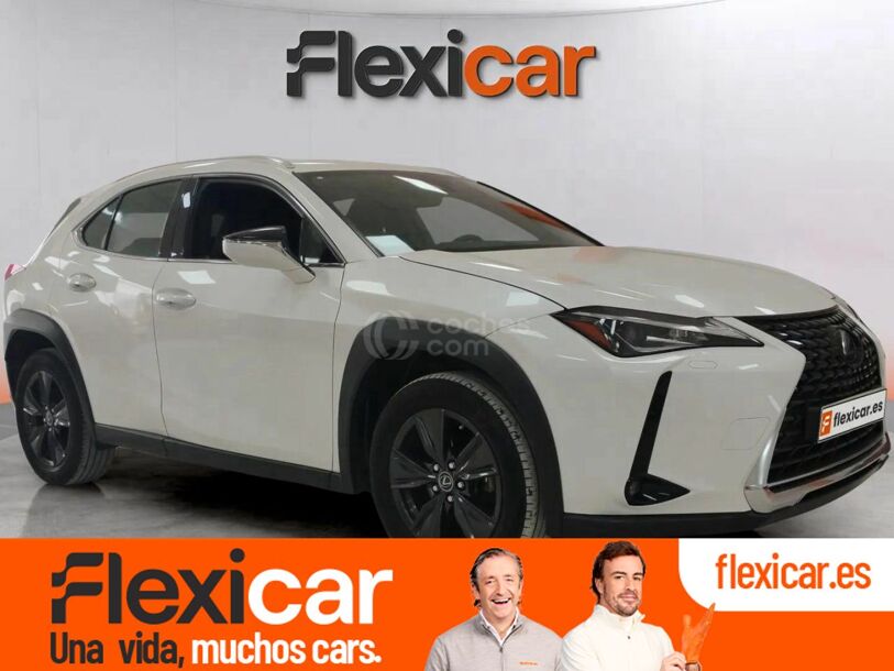Foto del LEXUS UX 250h Business 4WD