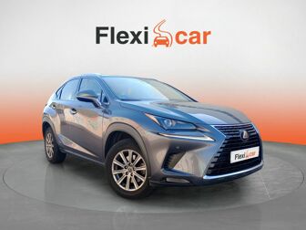 Imagen de LEXUS NX 300h Business 2WD