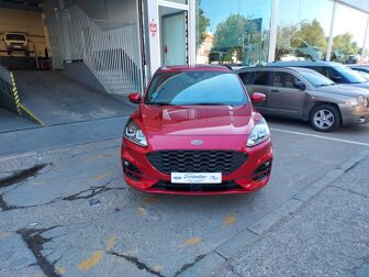 Imagen de FORD Kuga 1.5 EcoBlue ST-Line FWD 120 Aut.