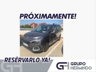 Imagen de CITROEN Berlingo BlueHDi S&S Talla M Feel 100