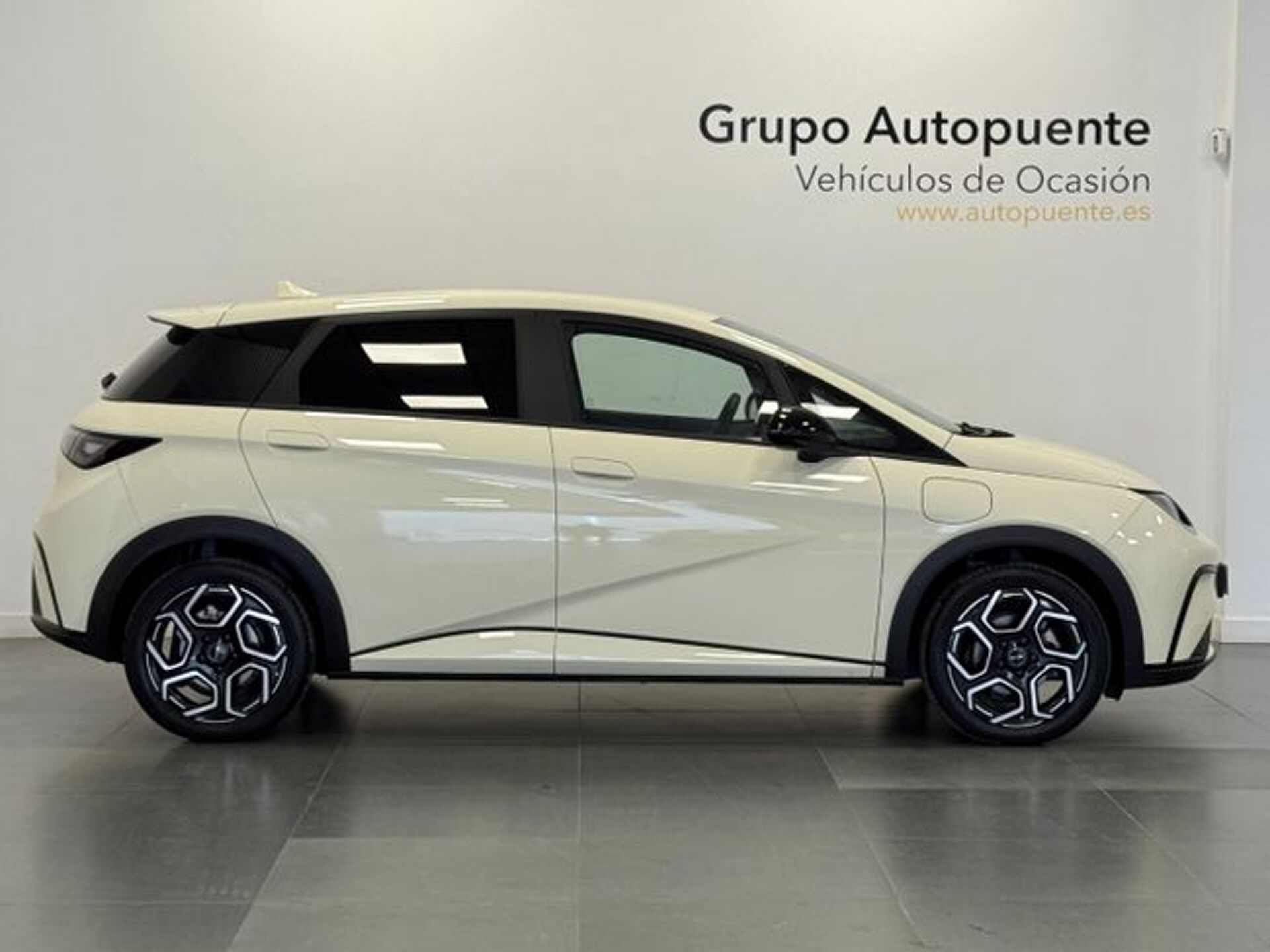 Imagen 2 de BYD Dolphin