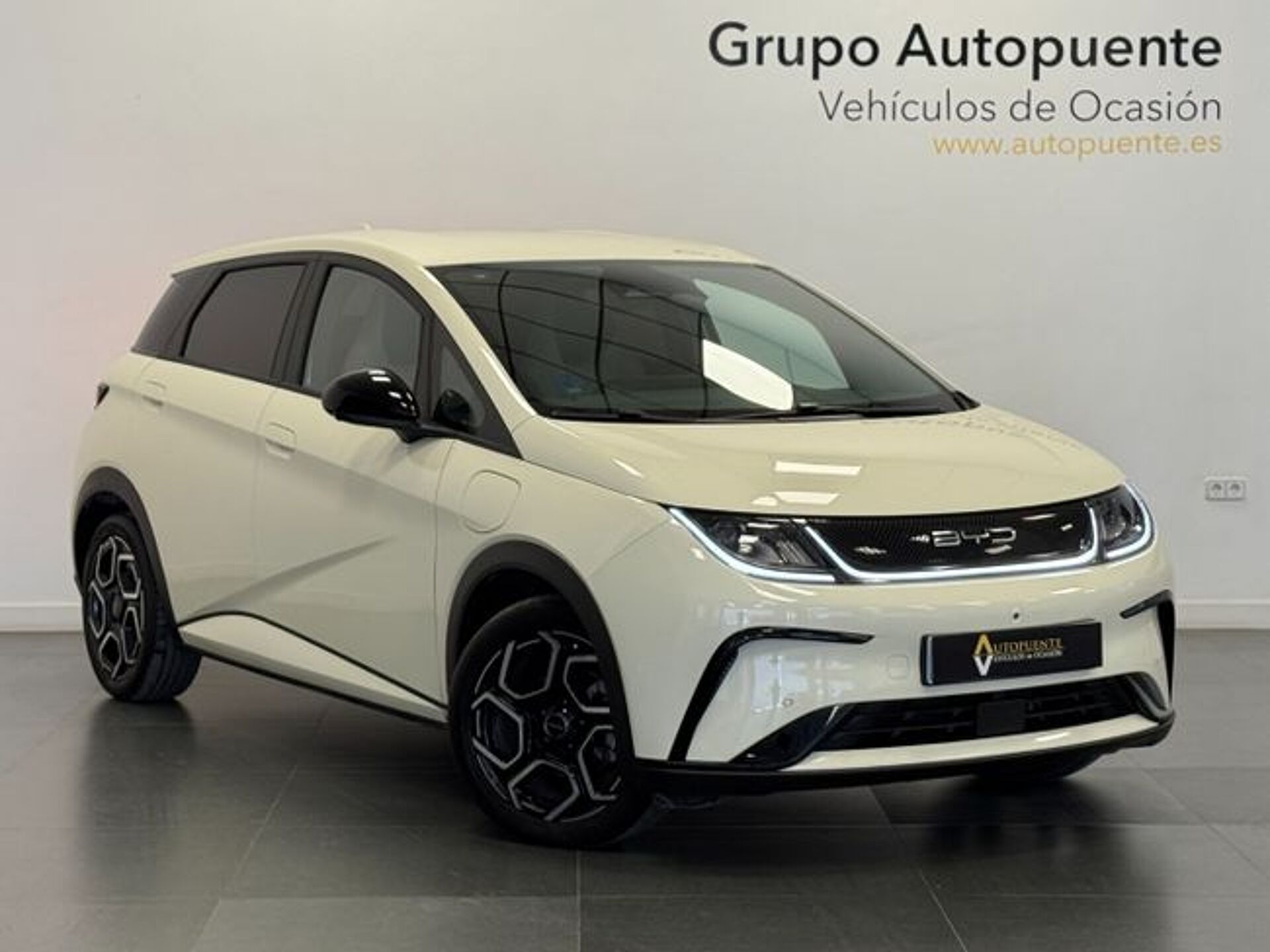 Imagen 1 de BYD Dolphin