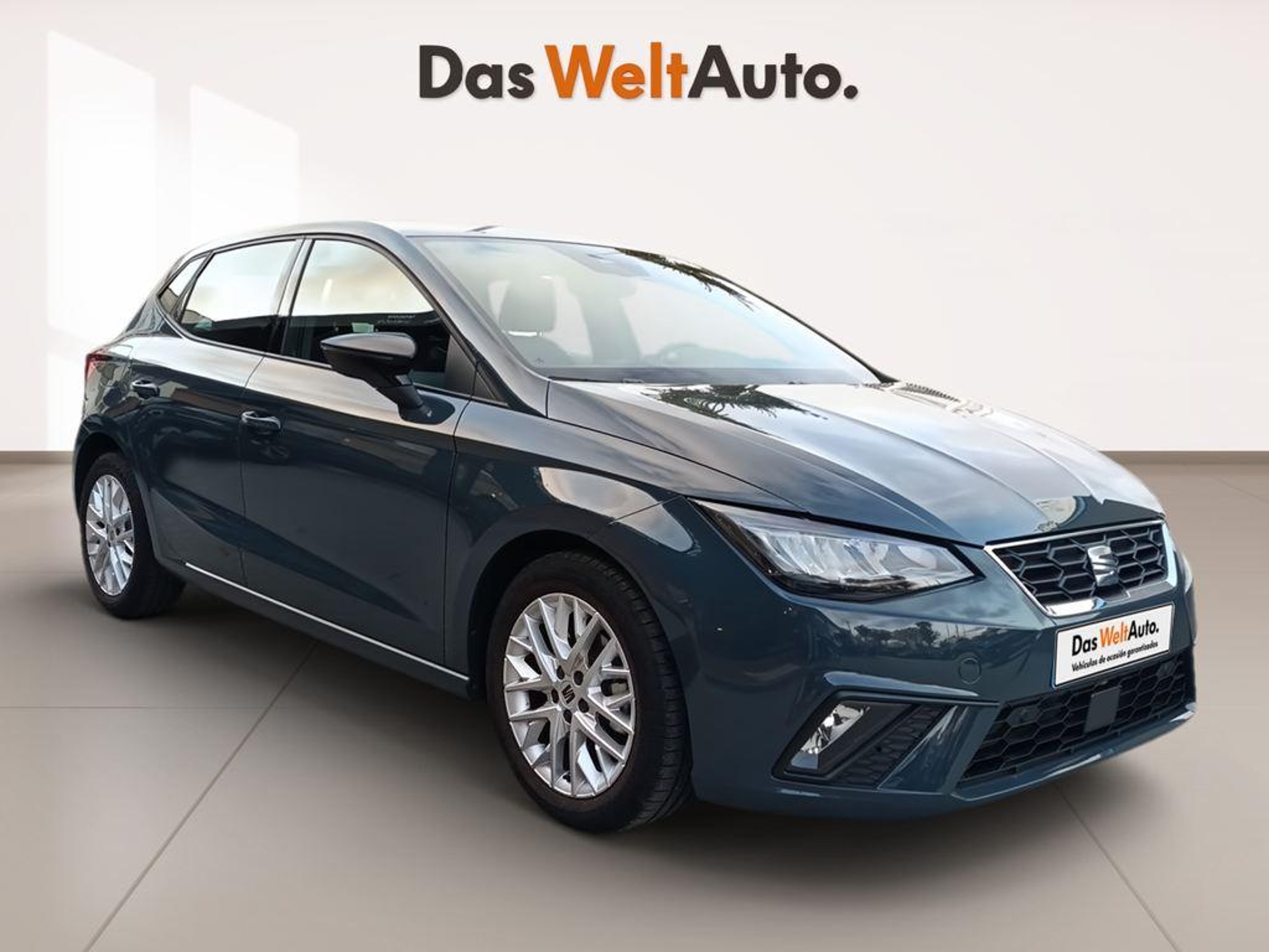 Imagen de SEAT Ibiza