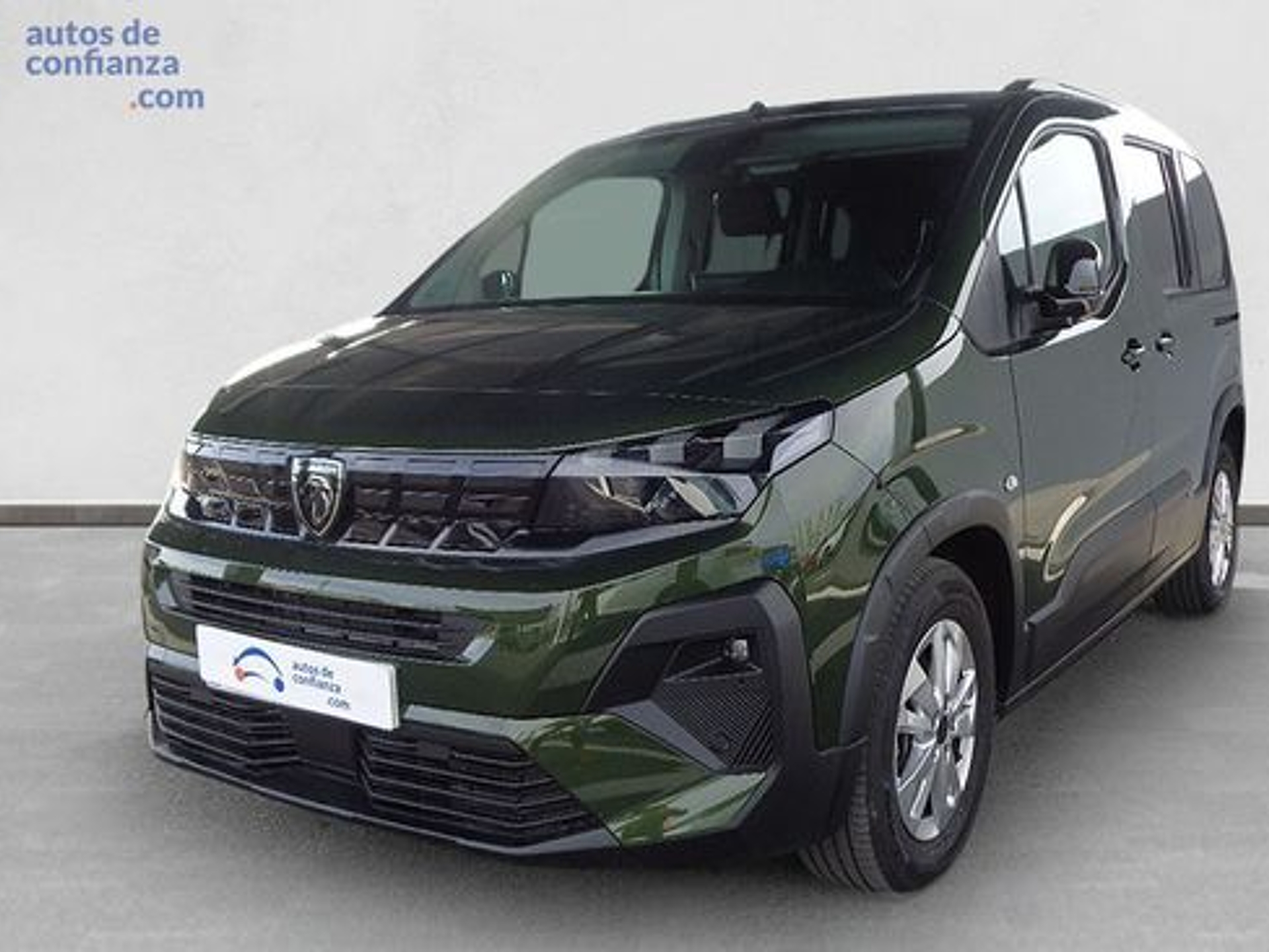 Imagen de PEUGEOT Rifter