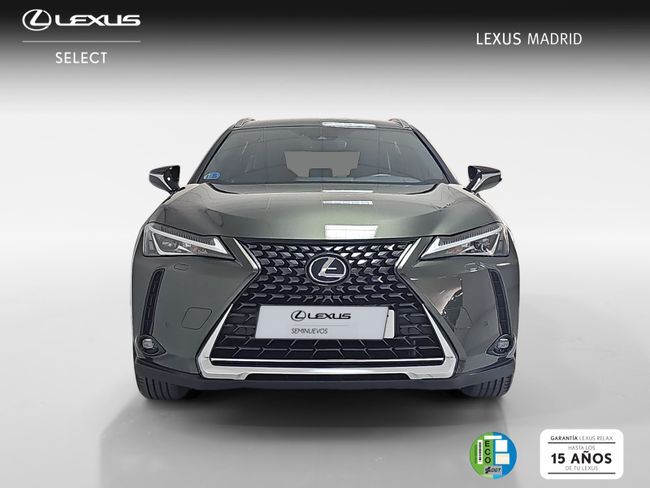 Foto del LEXUS UX 250h Business 4WD