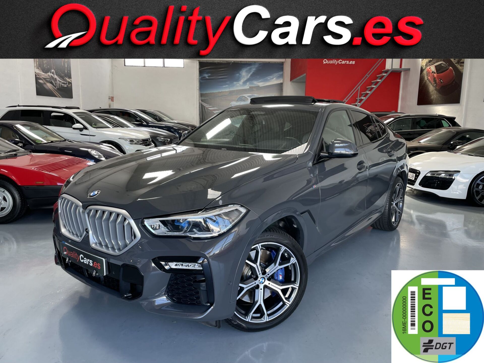 Imagen de BMW X6
