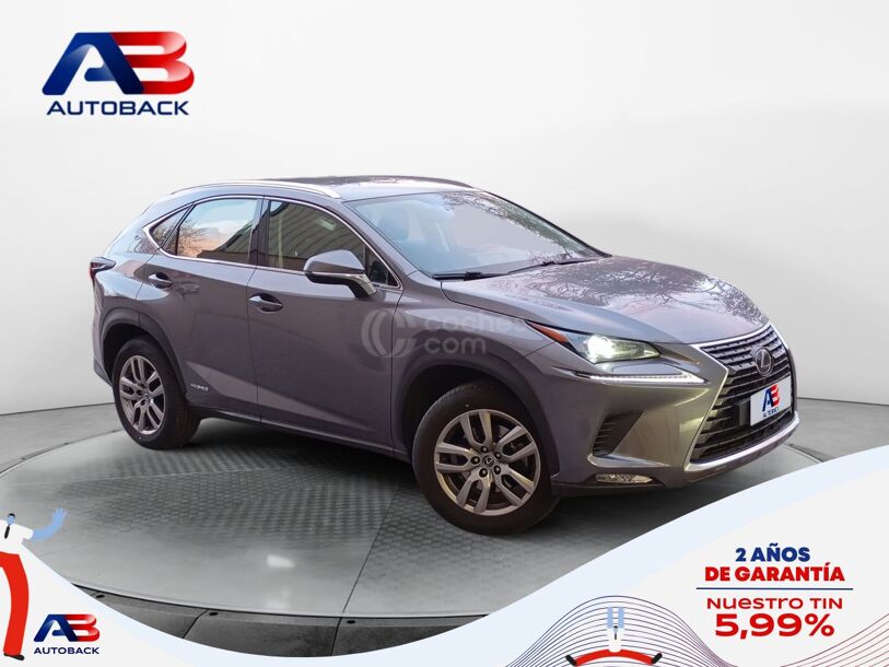 Foto del LEXUS NX 300h Business 2WD