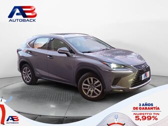 Imagen de LEXUS NX 300h Business 2WD