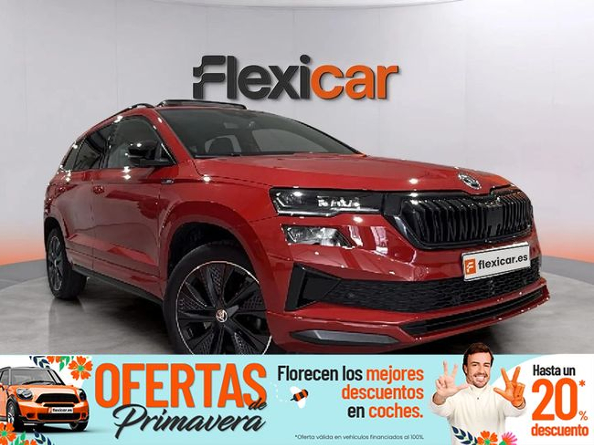 Imagen de SKODA Karoq