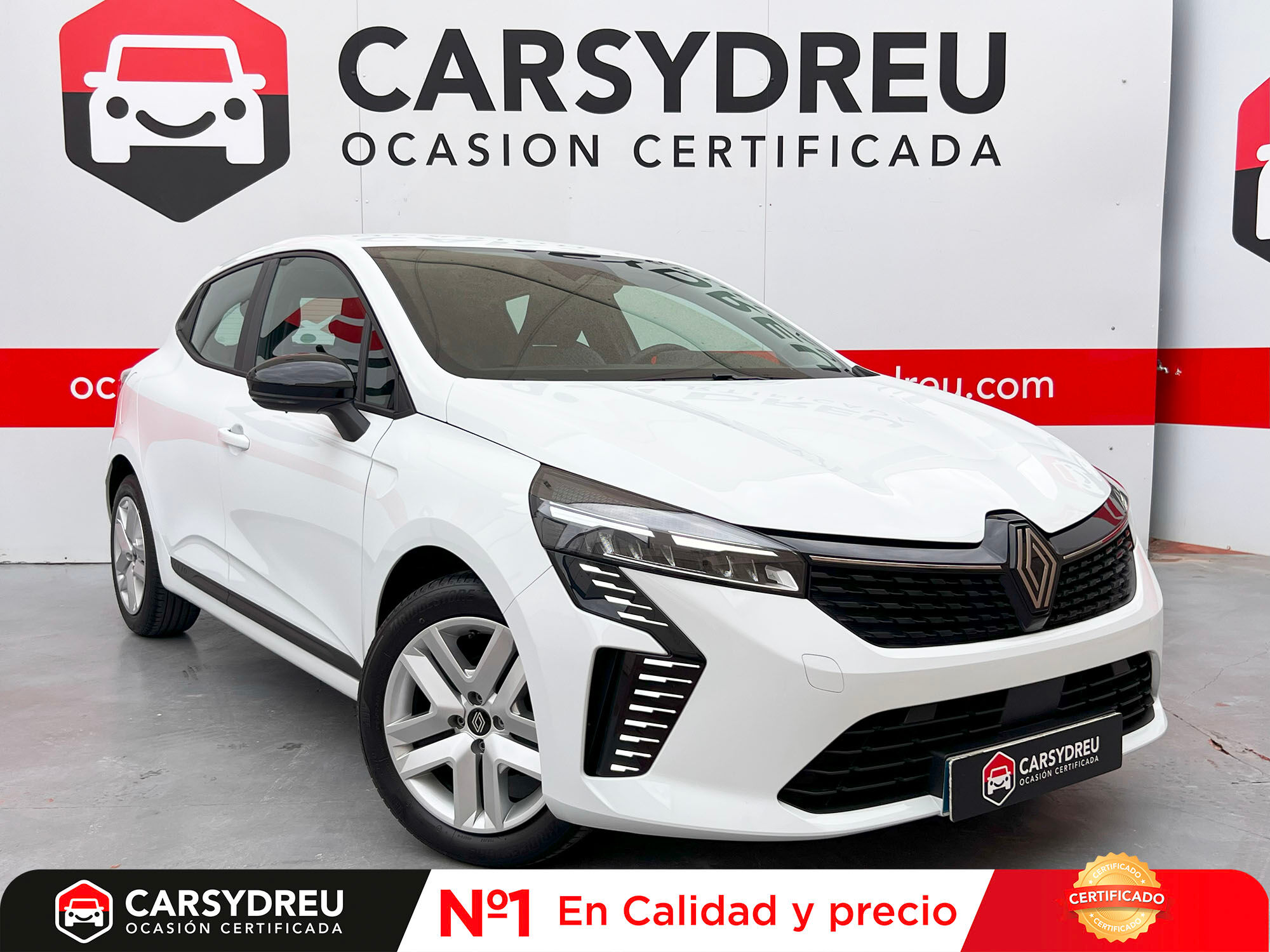 RENAULT Clio (Evolution TCe 90 (67kw)) en Madrid
