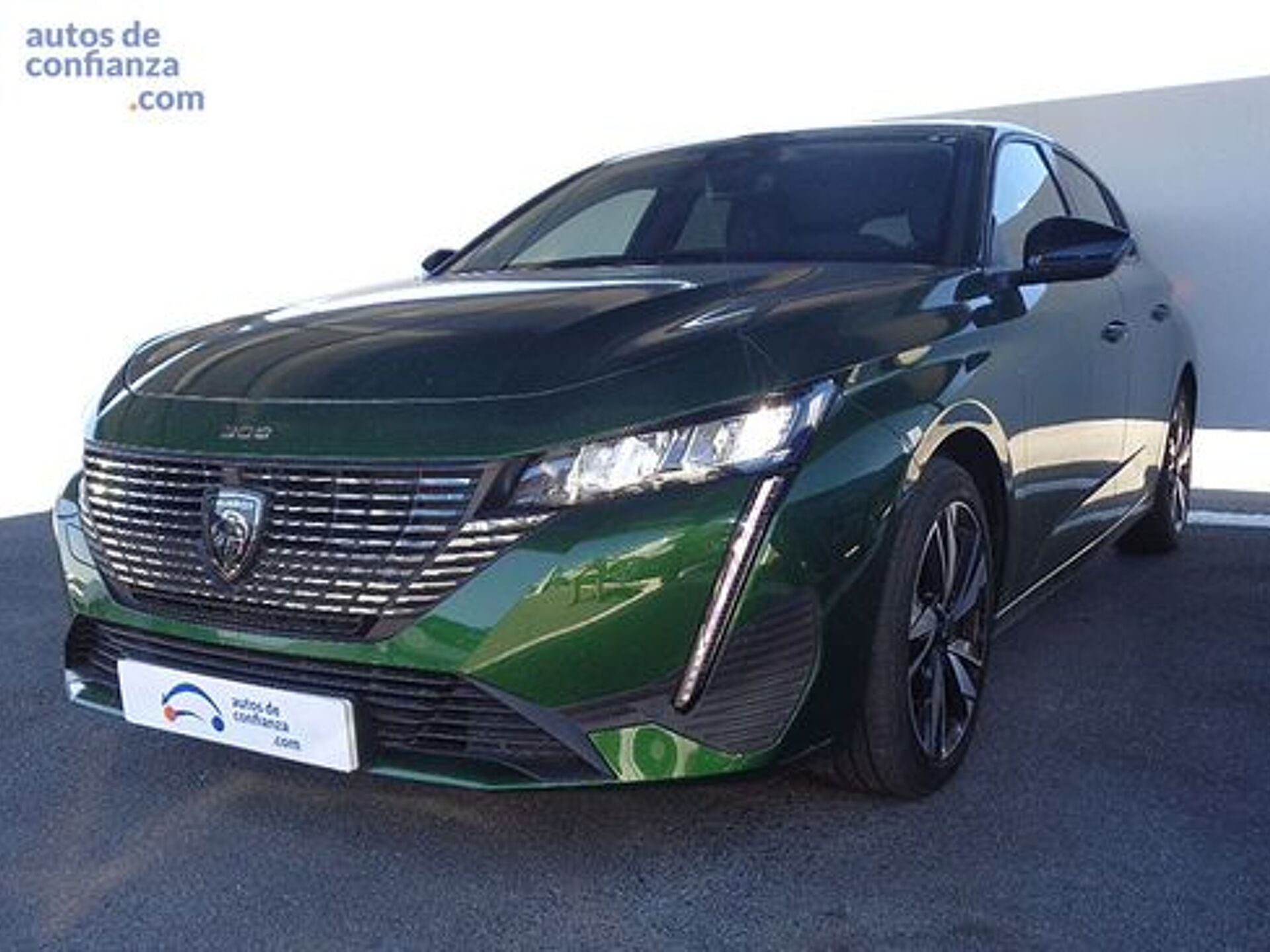 Imagen 1 de PEUGEOT 308