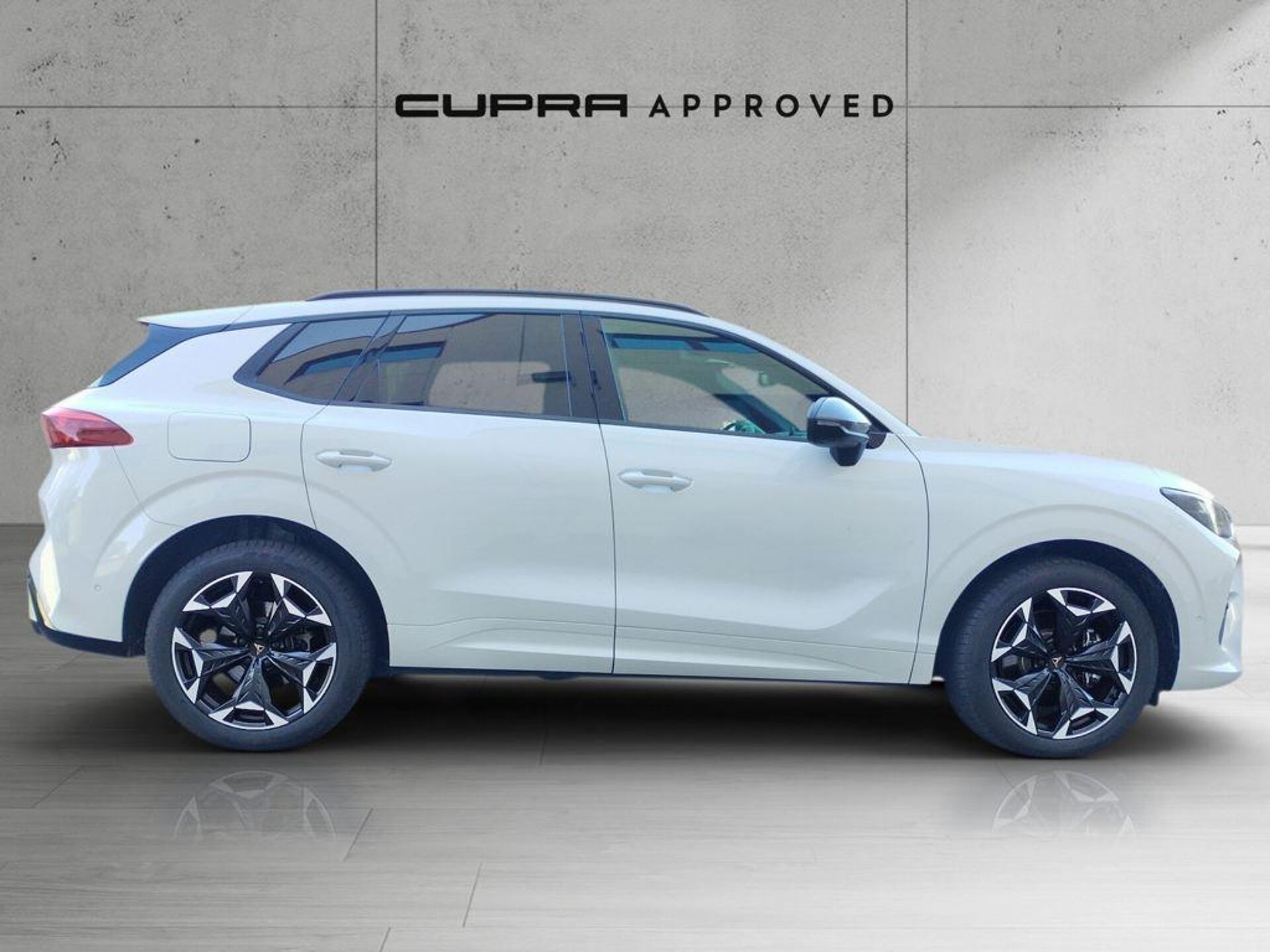 Imagen 3 de CUPRA Terramar