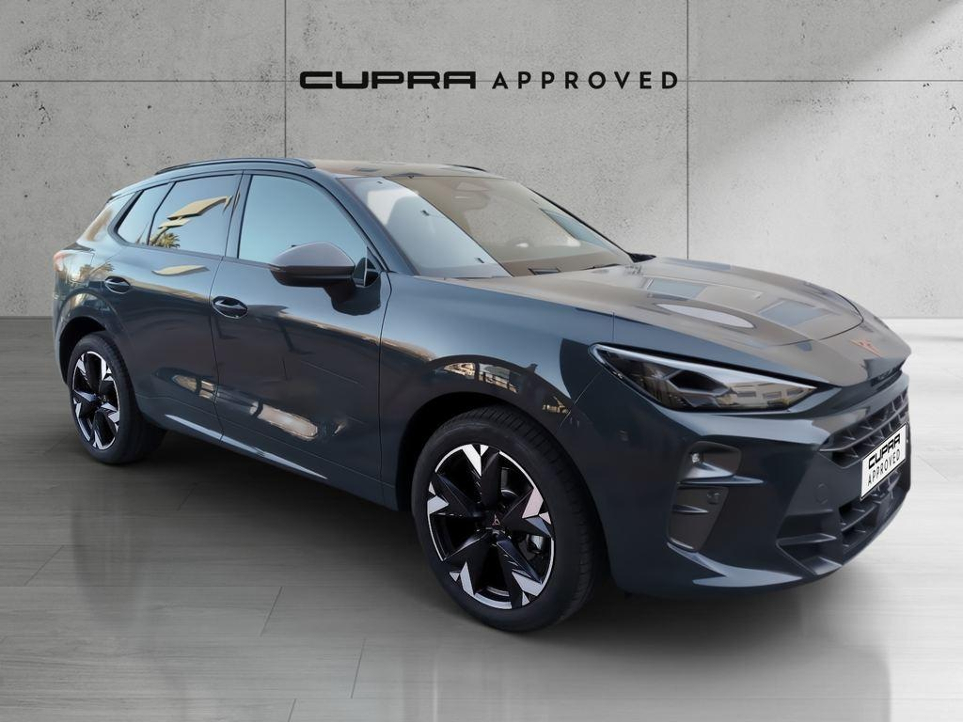 Imagen de CUPRA Terramar