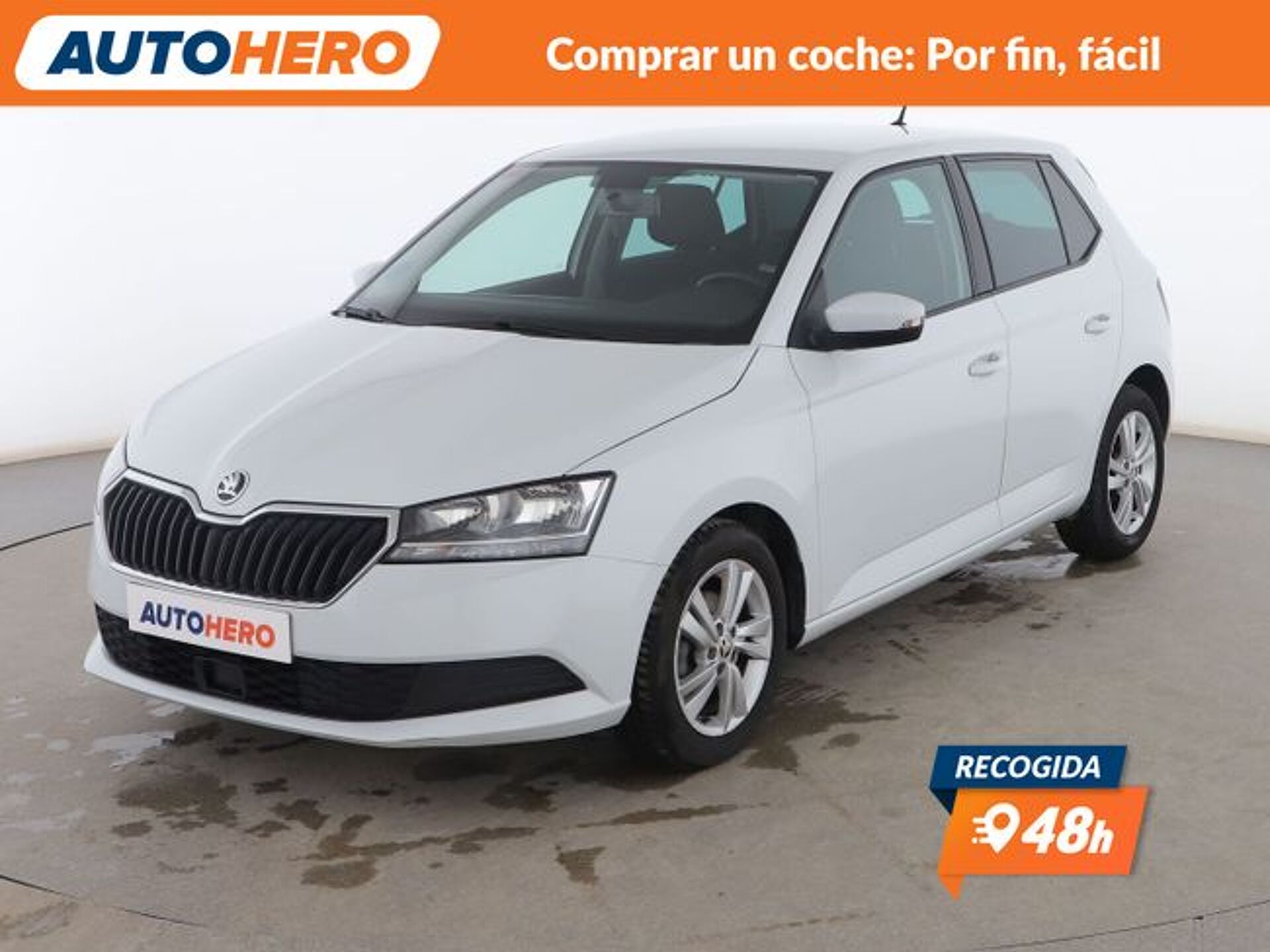 Imagen 1 de SKODA Fabia