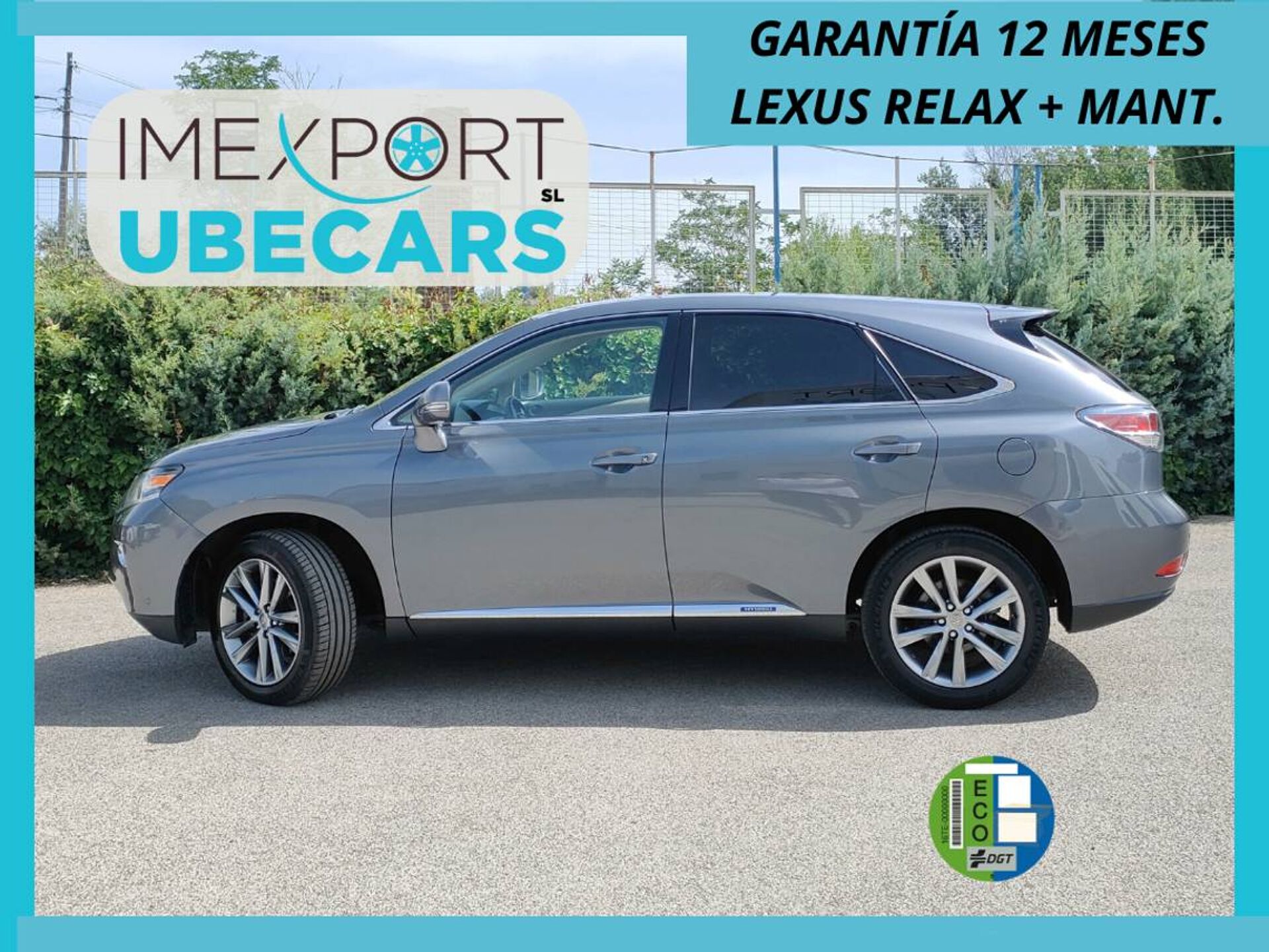 Imagen de LEXUS RX