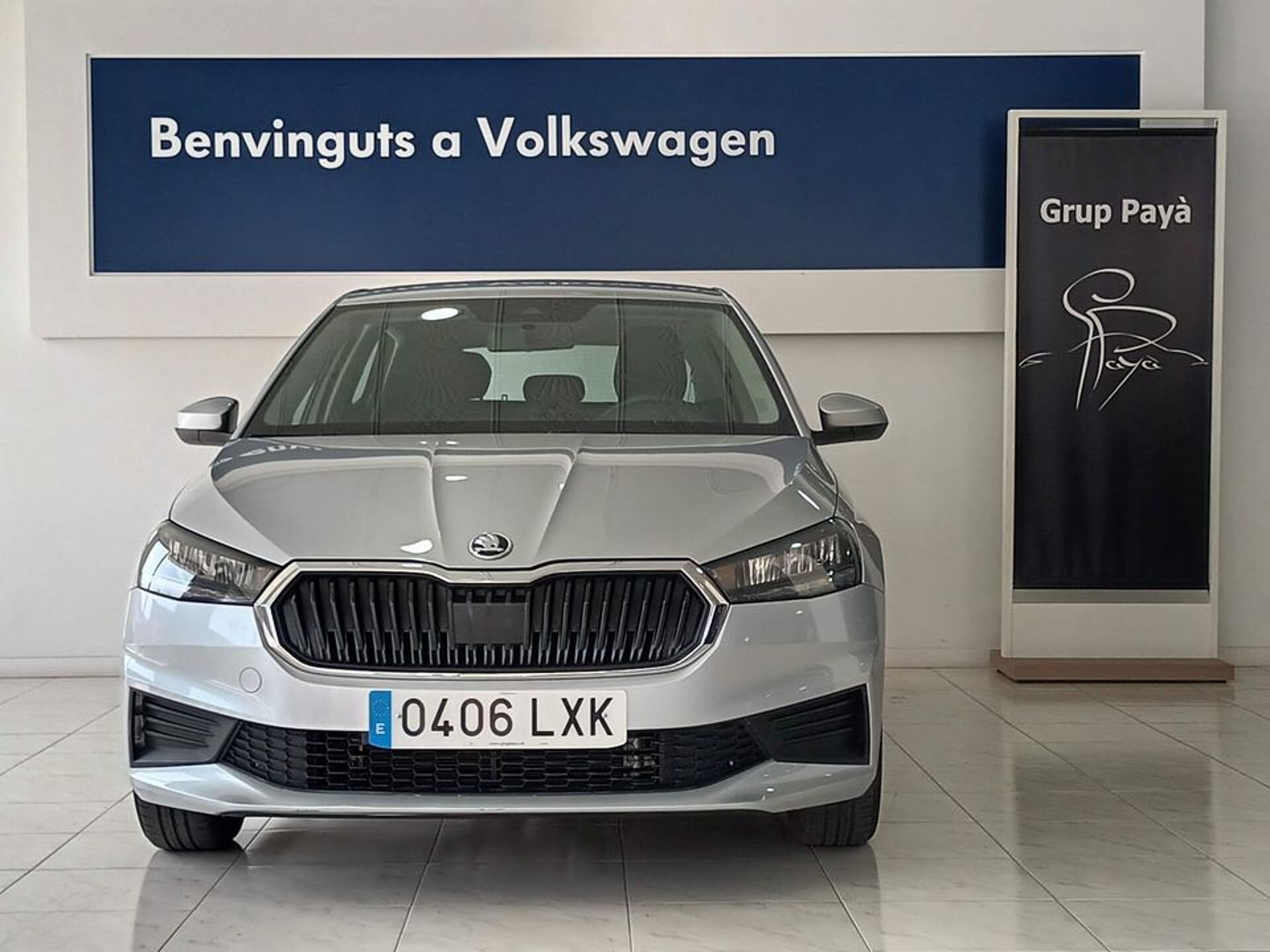 Imagen de SKODA Fabia