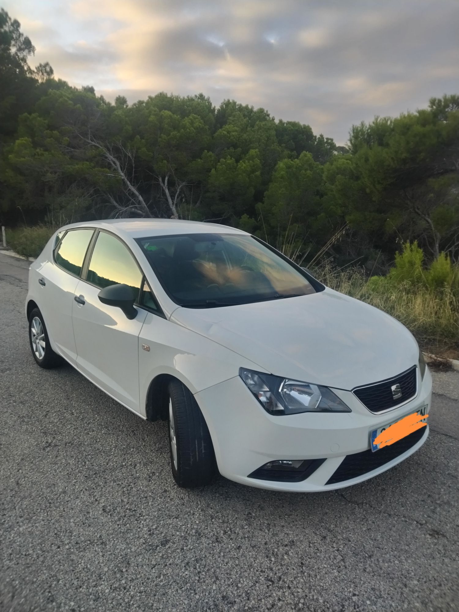 Foto del SEAT Ibiza 1.0 Reference 75