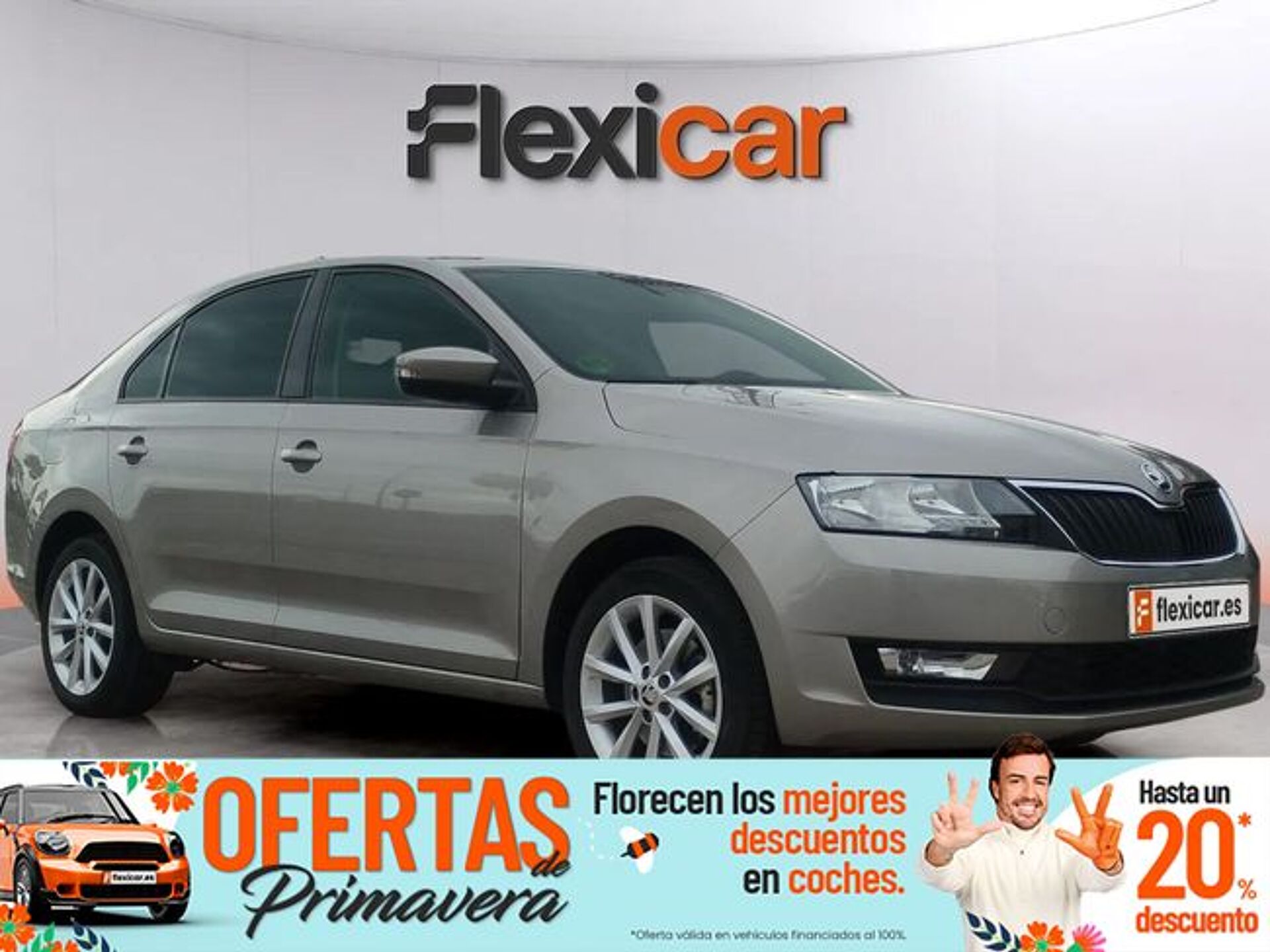 Imagen 1 de SKODA Rapid