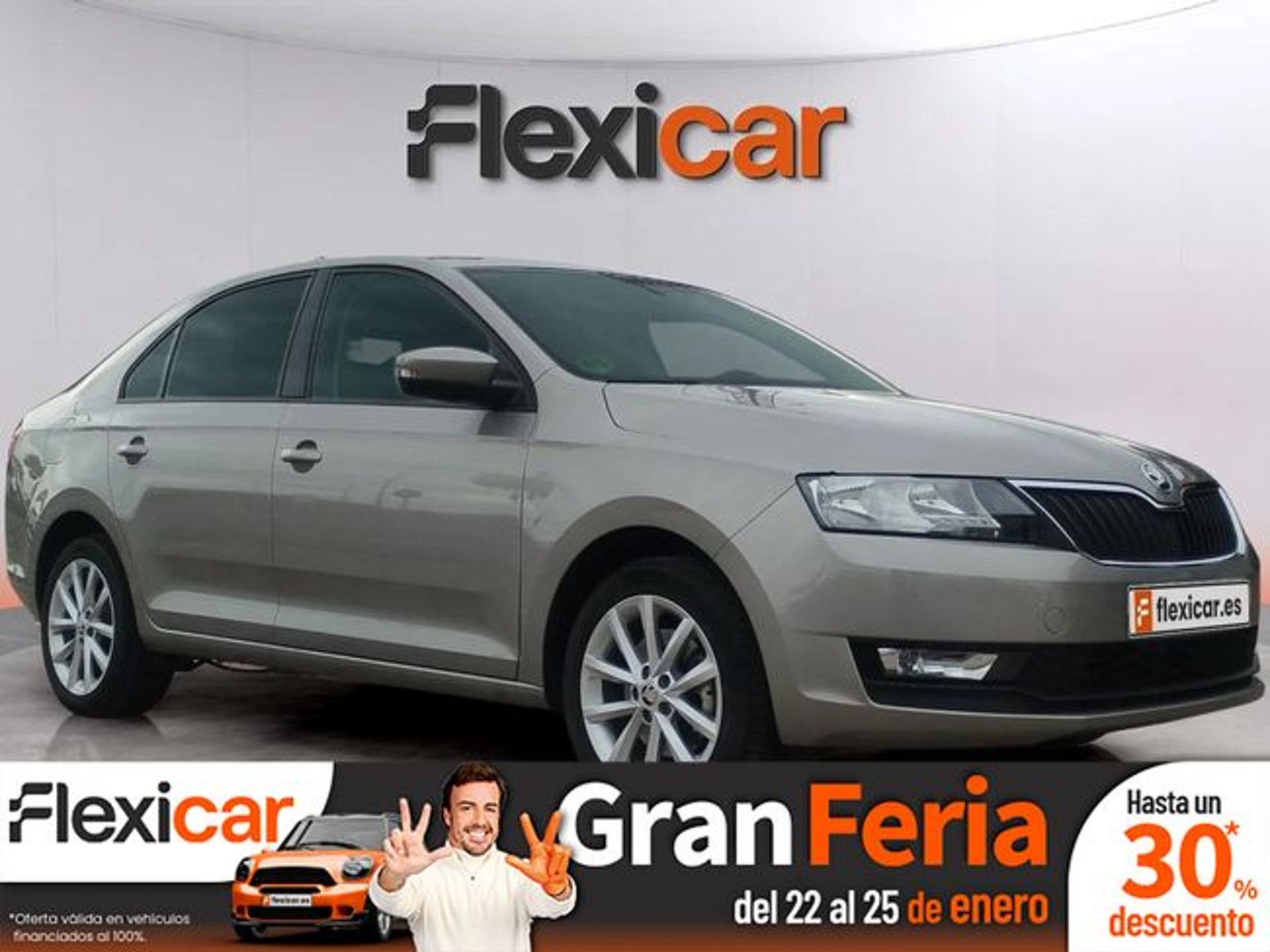 Imagen de SKODA Rapid