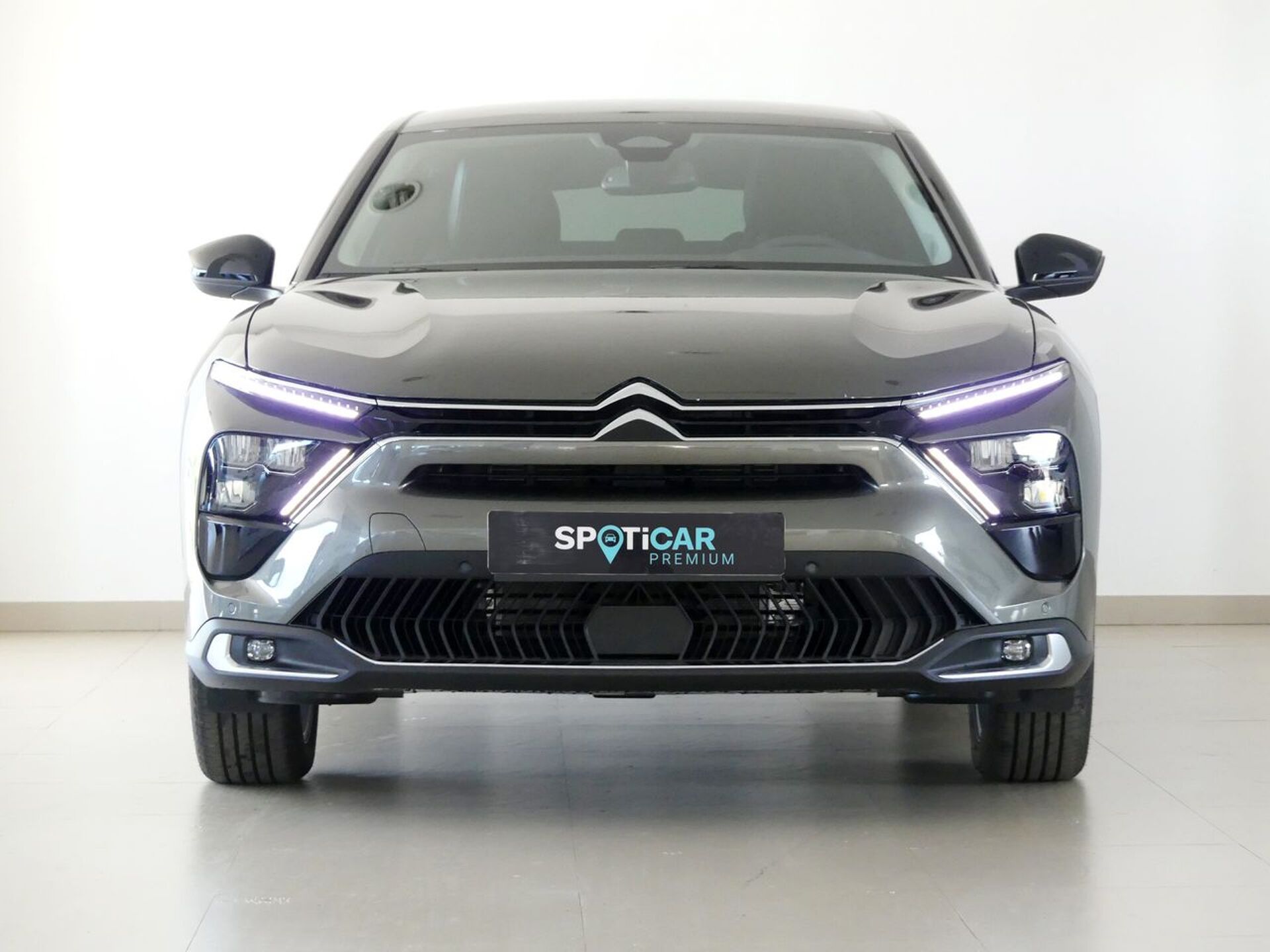Imagen 3 de CITROEN C5 X