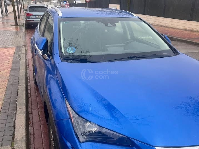 Foto del LEXUS NX 300h Business Navigation 2WD