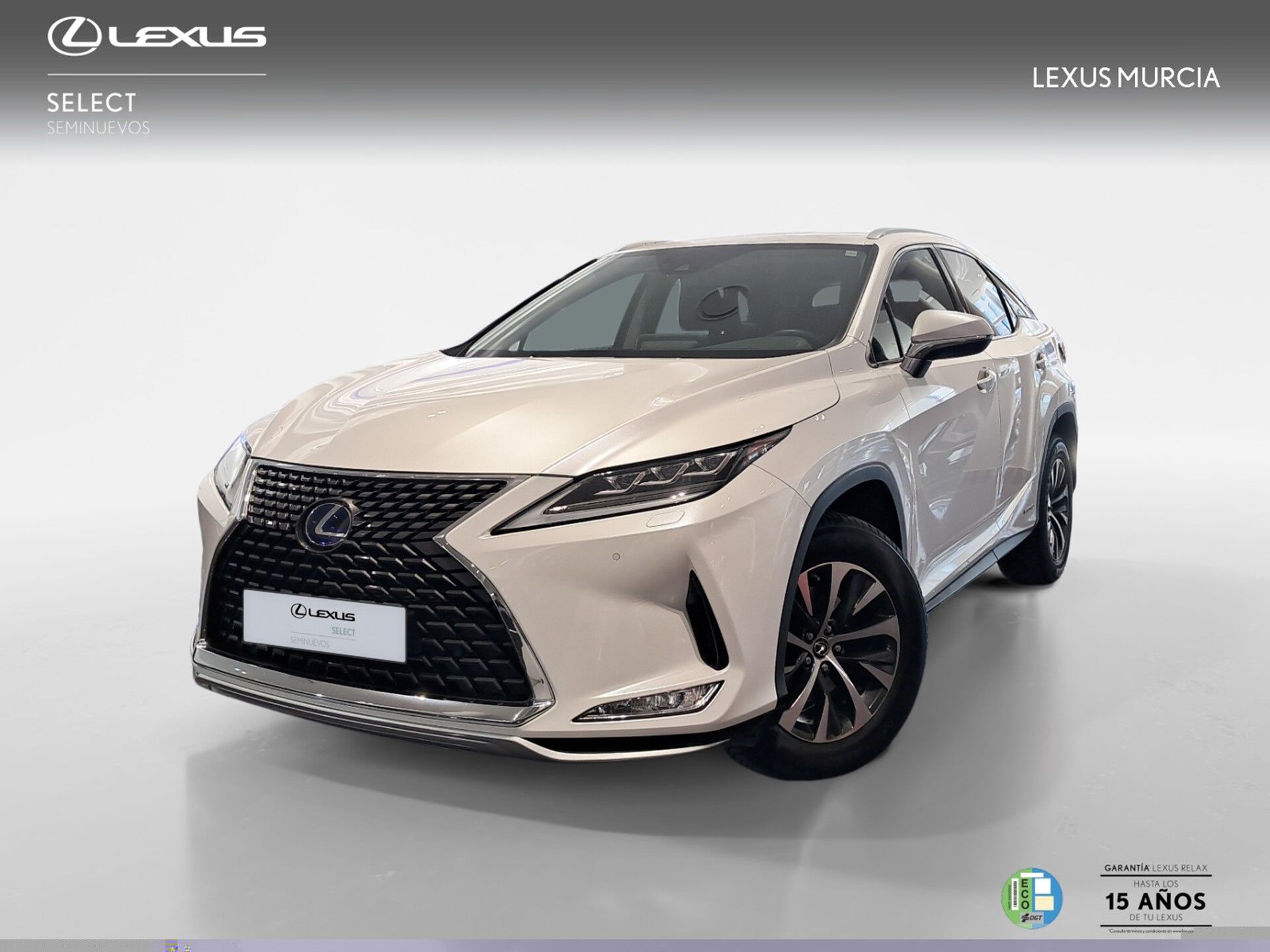 LEXUS RX (TODOTERRENO 3.5 450H BUSINESS AUTO 313 5P) en Murcia