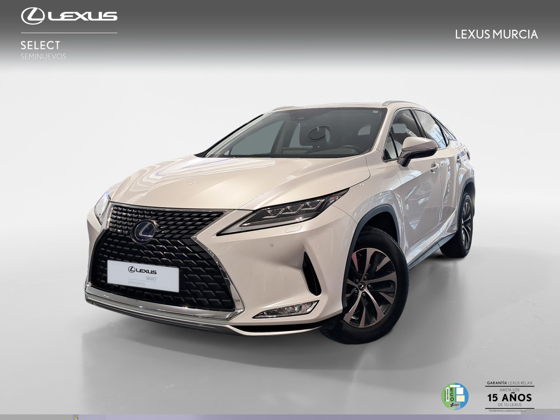 Imagen de LEXUS RX