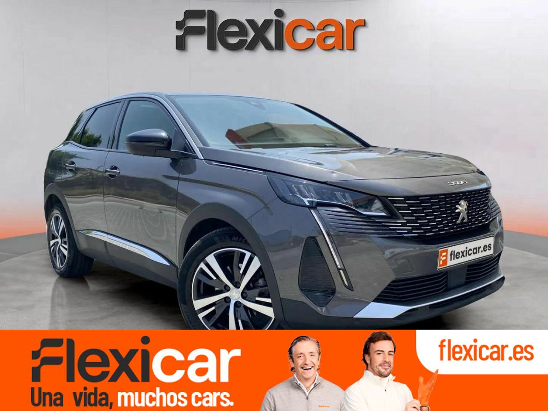 Imagen de PEUGEOT 3008