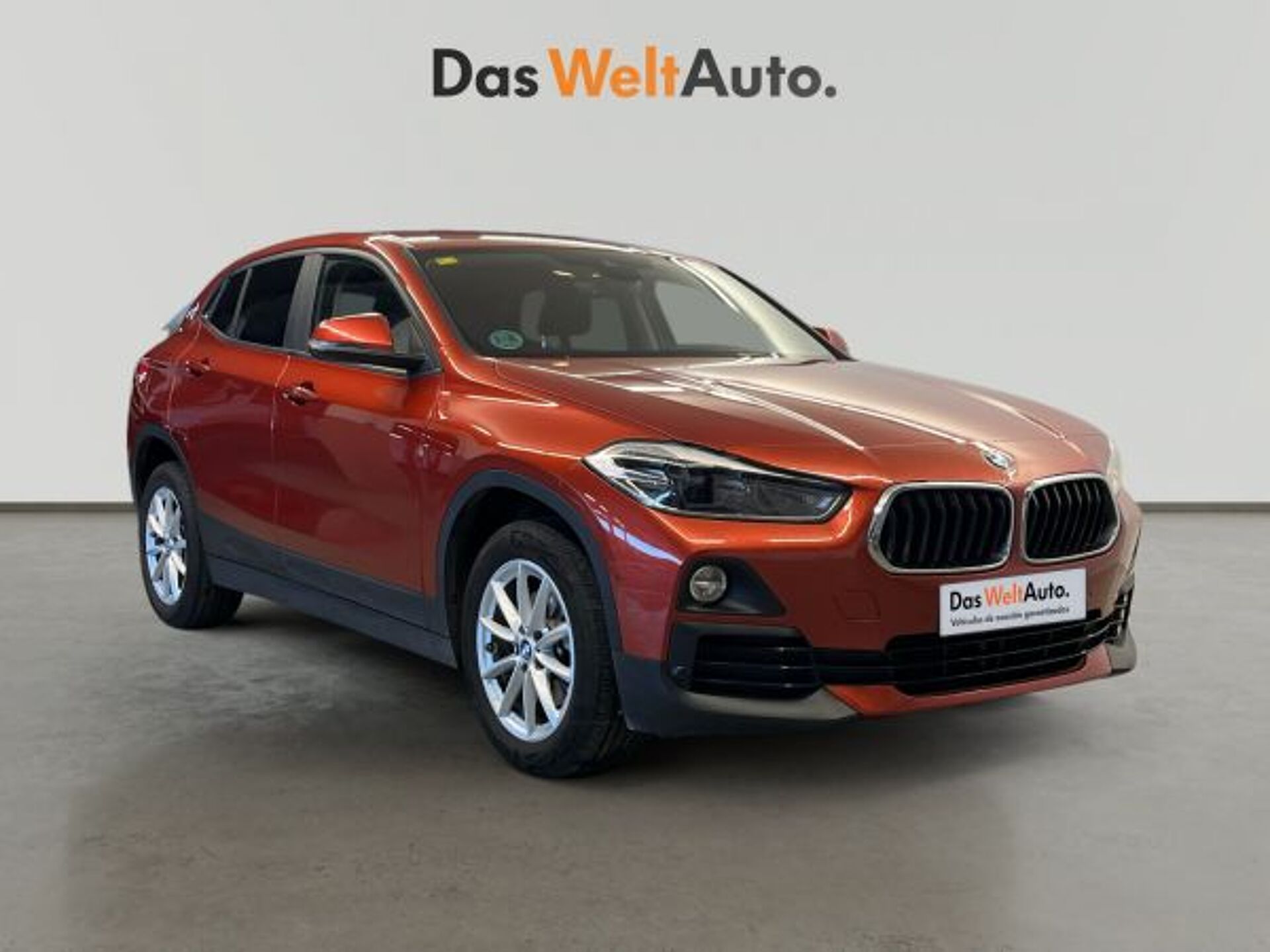 Imagen de BMW X2