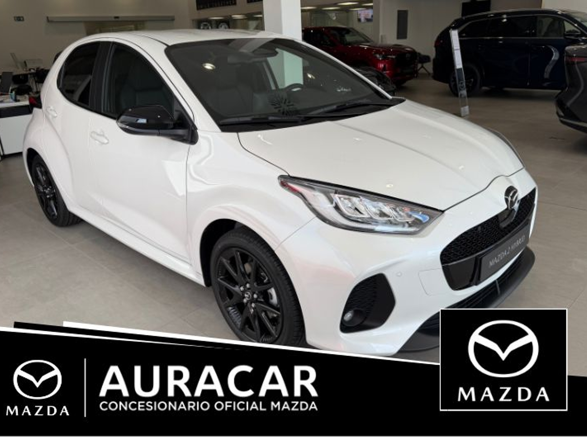 Imagen de MAZDA Mazda2