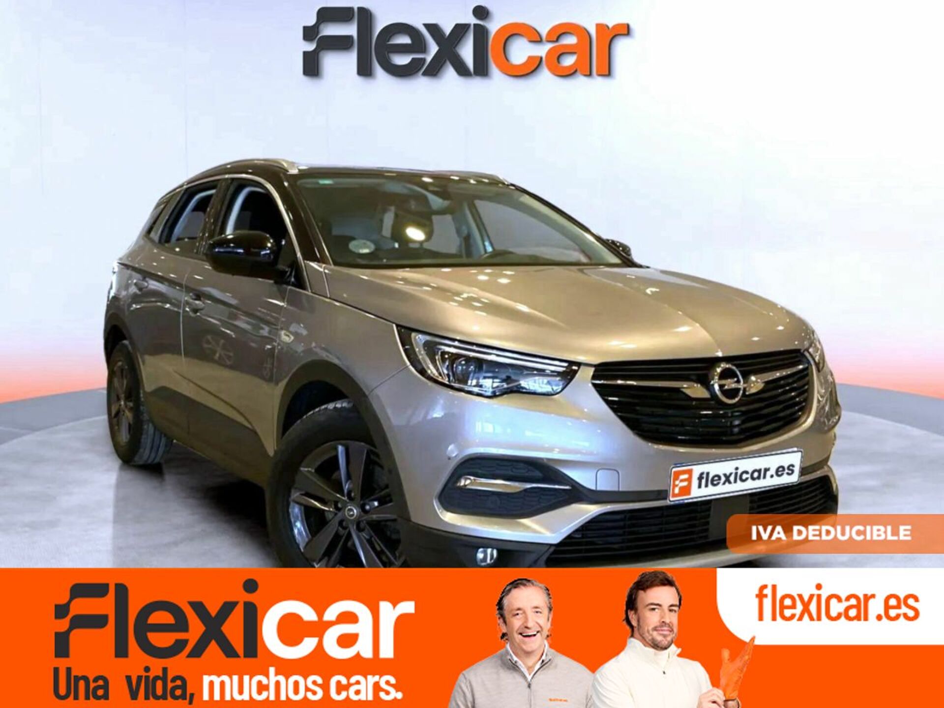 Imagen de OPEL Grandland X