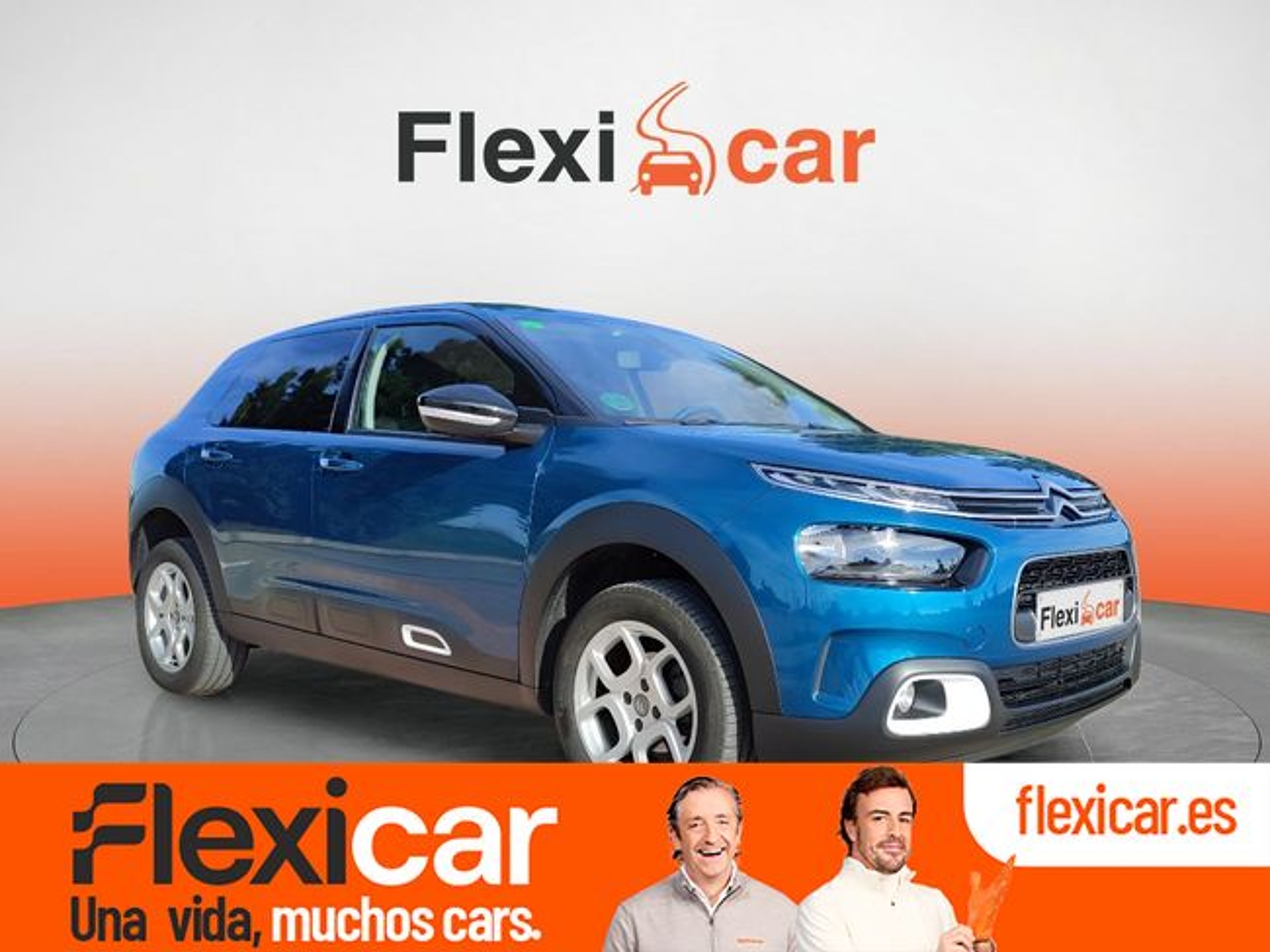 Imagen de CITROEN C4 Cactus