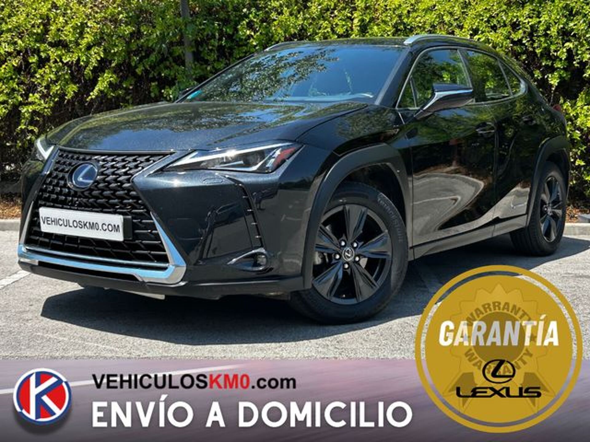 Imagen de LEXUS UX