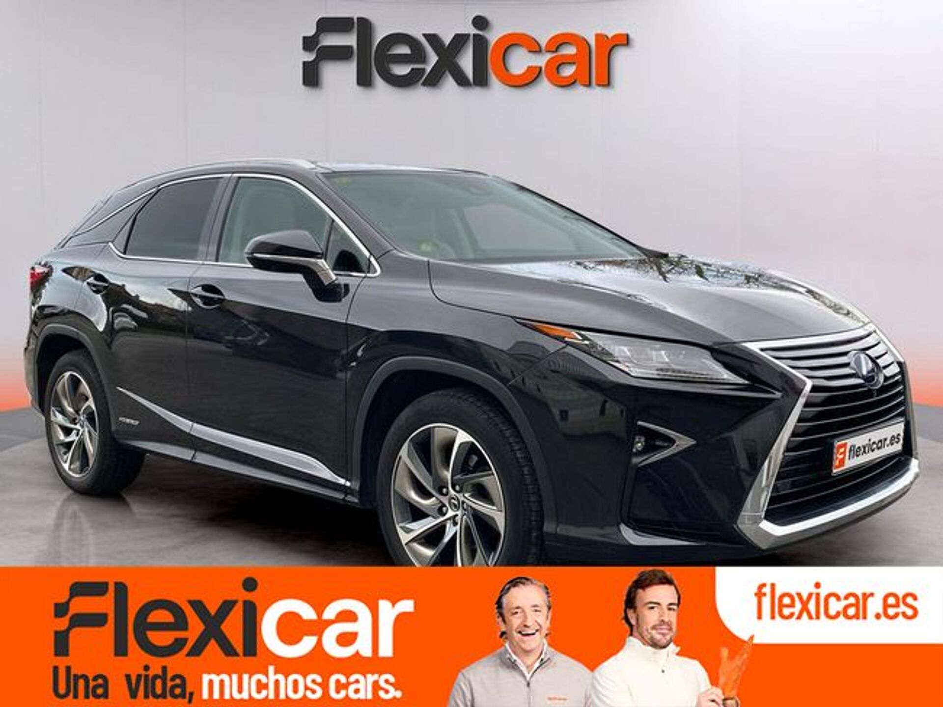 Imagen 1 de LEXUS RX