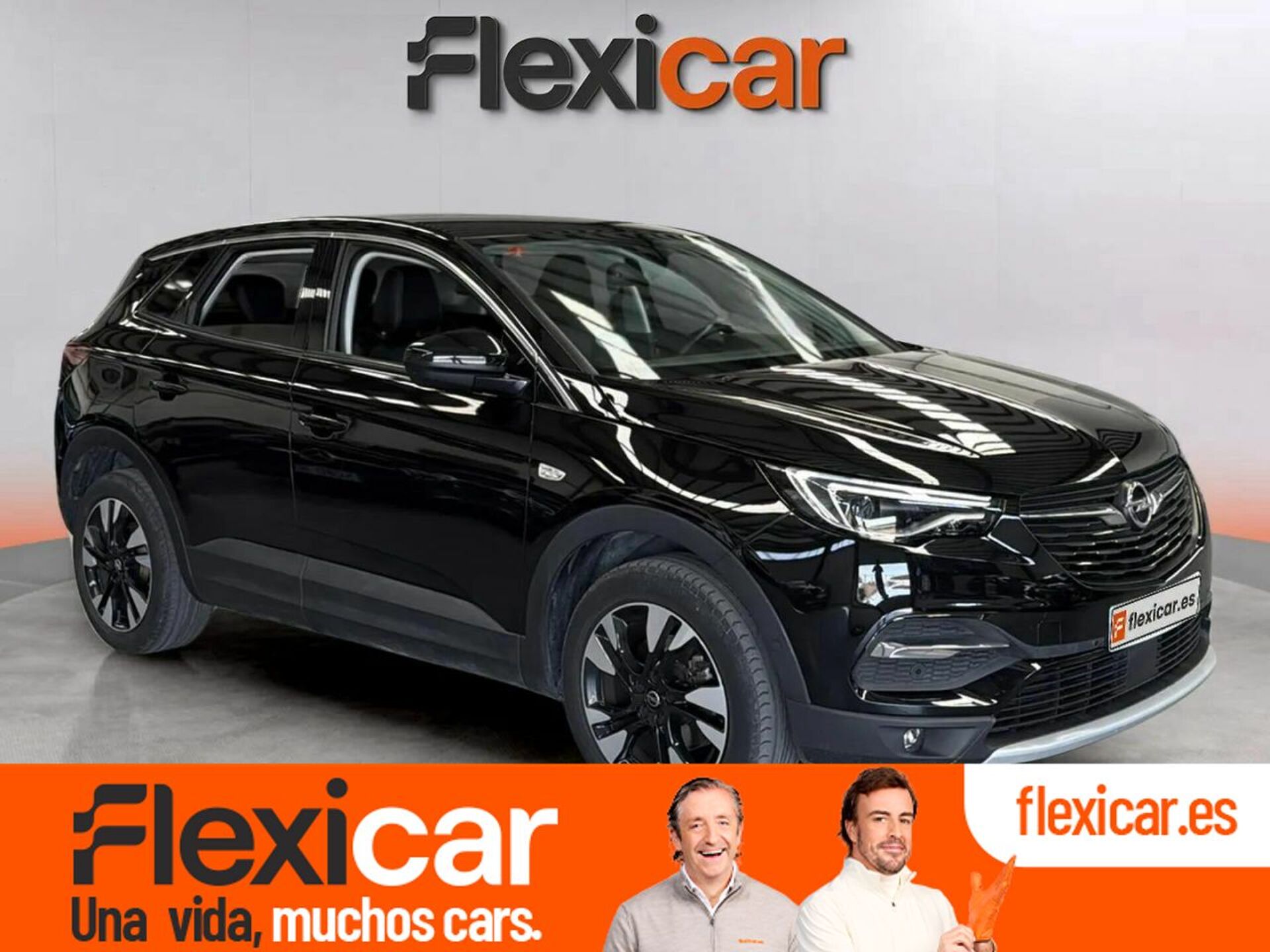 Imagen de OPEL Grandland X