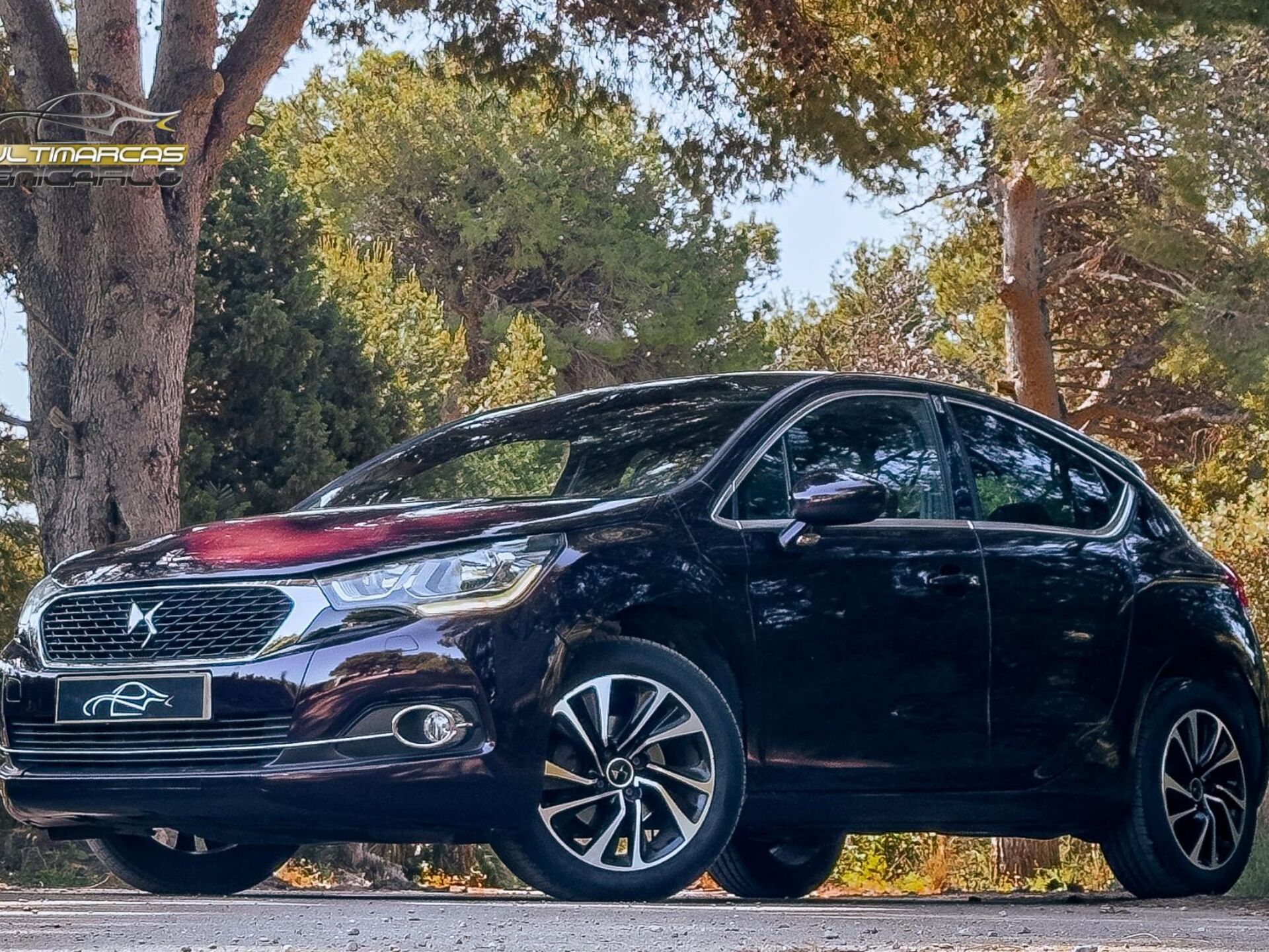 Imagen de DS DS4