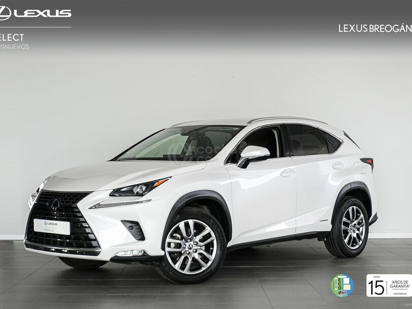 Foto del LEXUS NX 300h Executive Navigation 4WD