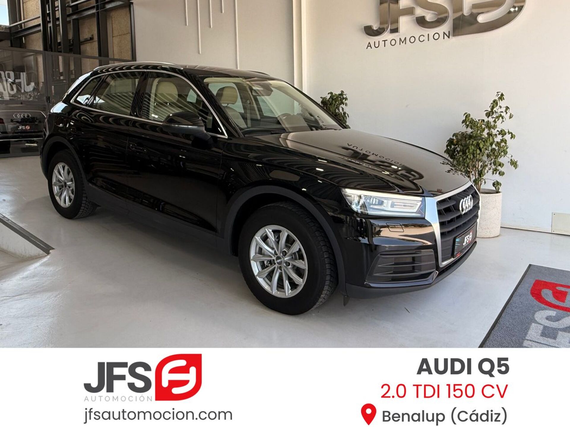 Imagen de AUDI Q5