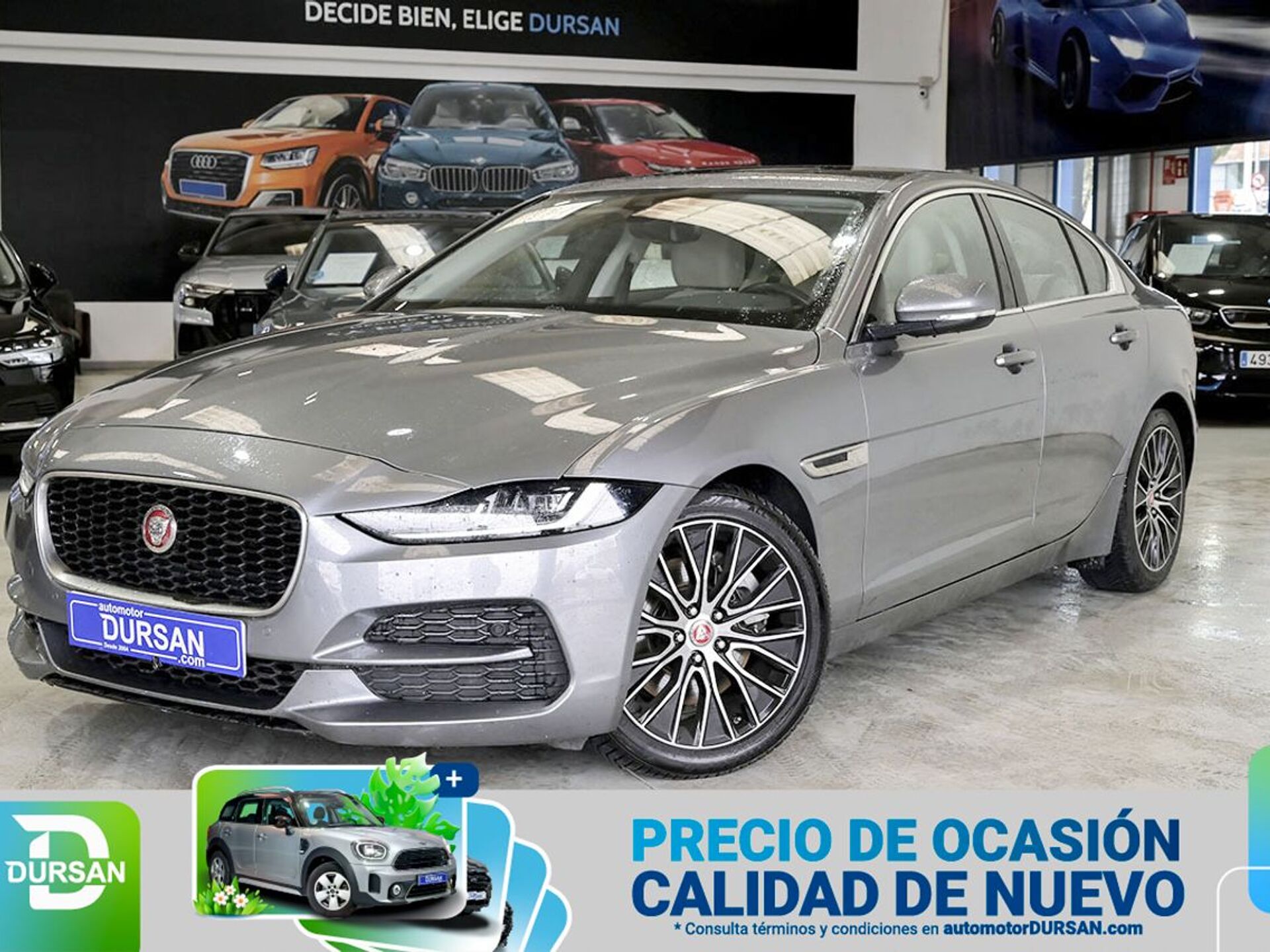 Imagen de JAGUAR XE