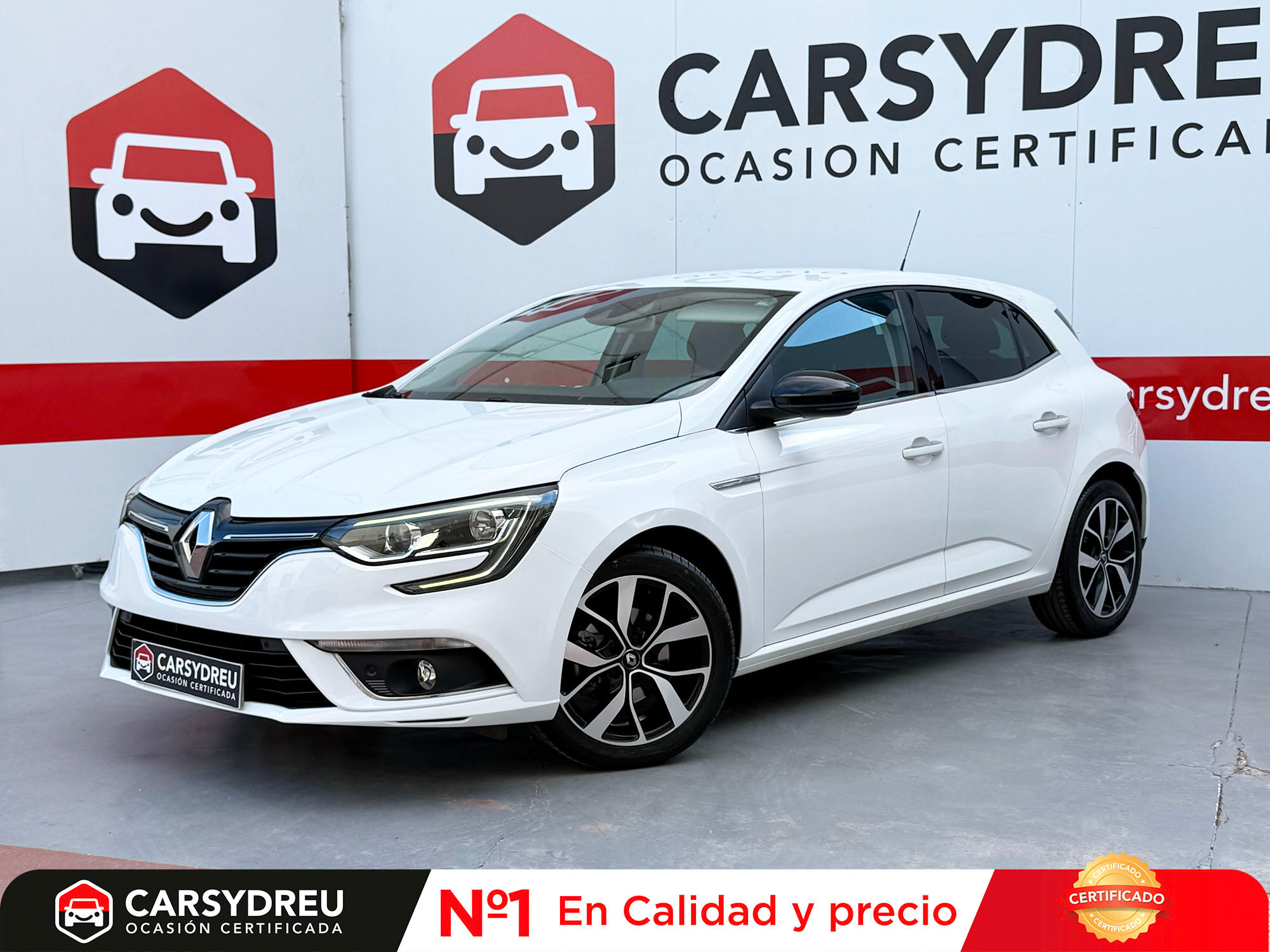 RENAULT Mégane (Limited TCe 85 kW (115CV) GPF -SS) en Madrid
