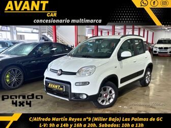 Imagen de FIAT Panda 1.3 4x4 70kW