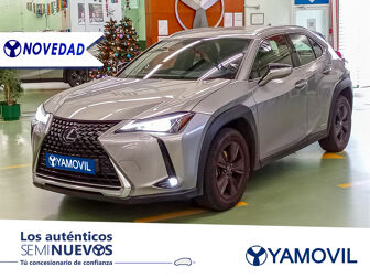 Imagen de LEXUS UX 250h Business 4WD