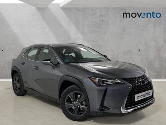 Imagen de LEXUS UX 250h Business 4WD