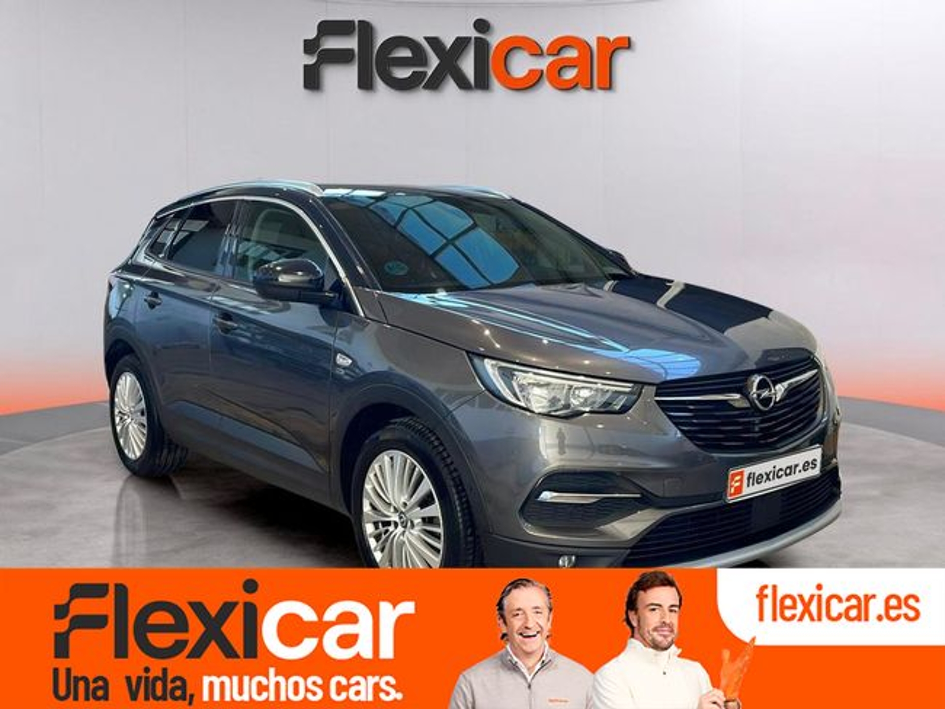 Imagen de OPEL Grandland X