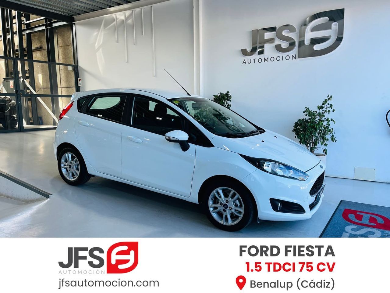 FORD Fiesta (1.5 TDCI 75 CV) en Cádiz